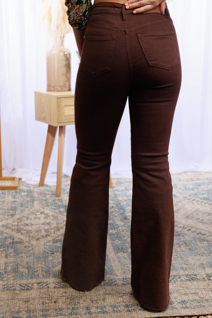 Judy Blue Tummy Control Espresso Jeans