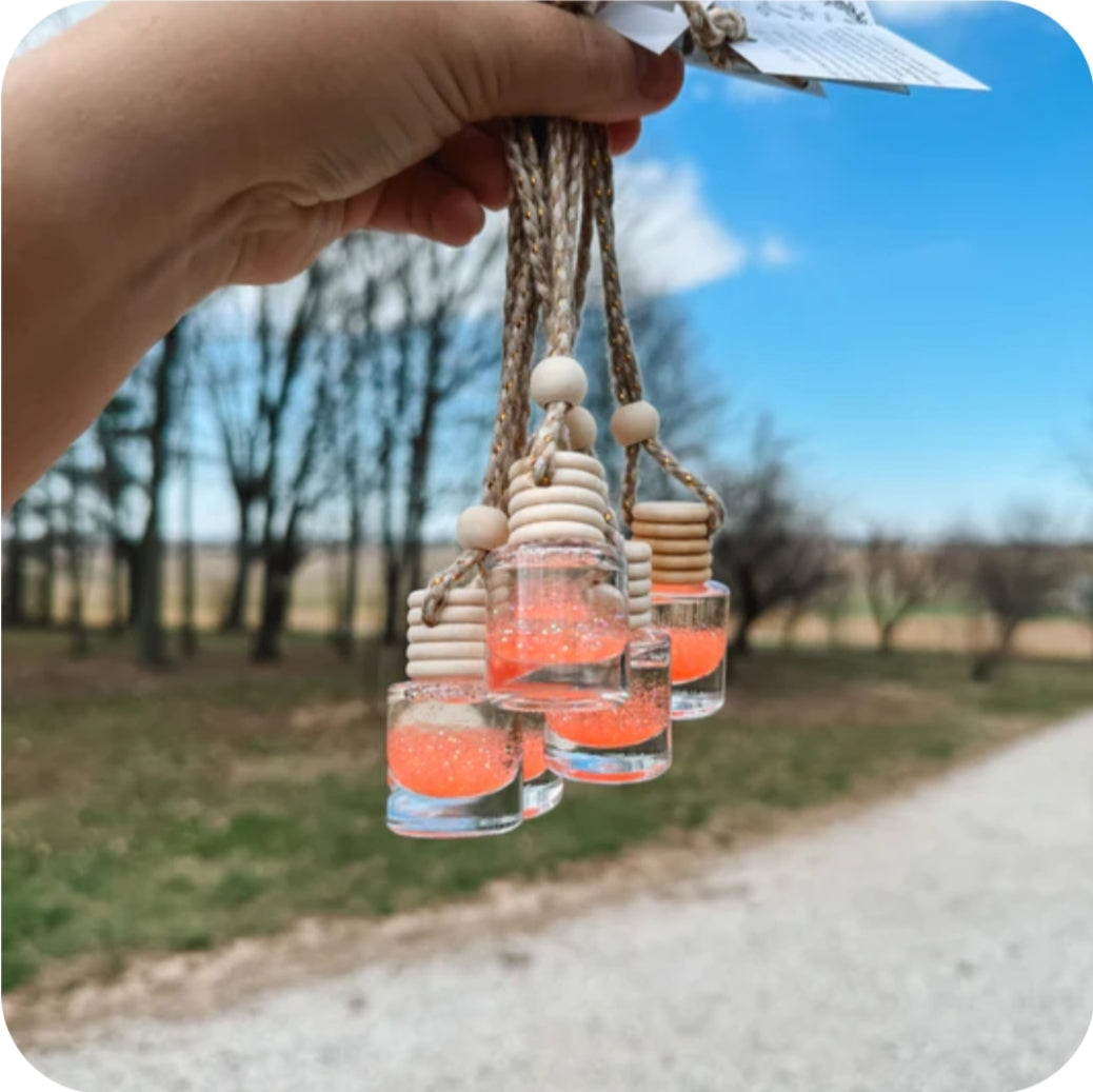 Hanging Beaded Car Diffusers